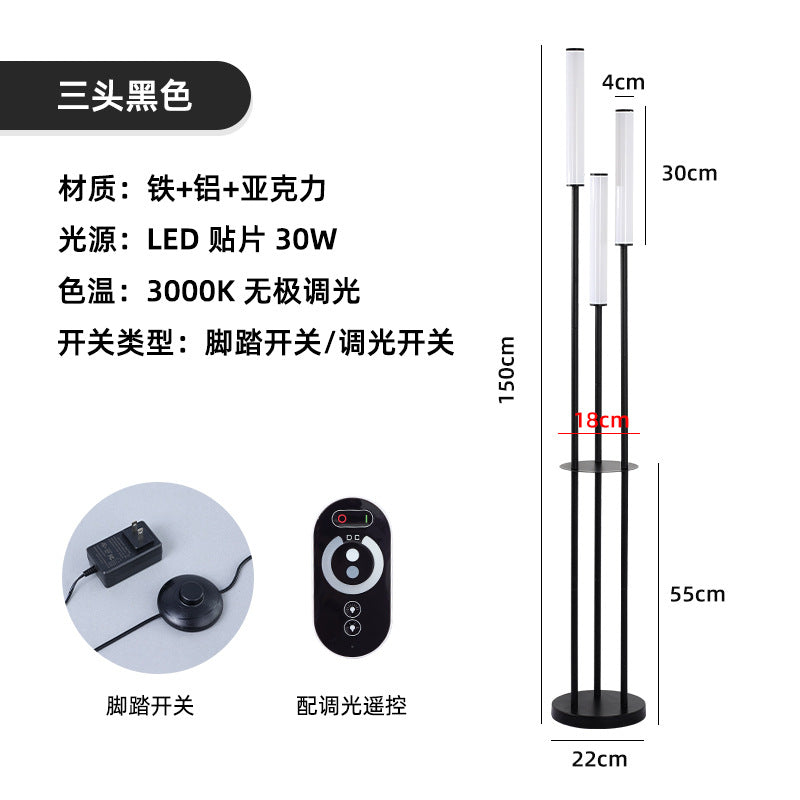 Modern LED Acrylic Floor Lamp