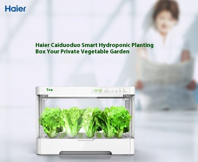 Automatic Soilless Hydroponic Planter Box