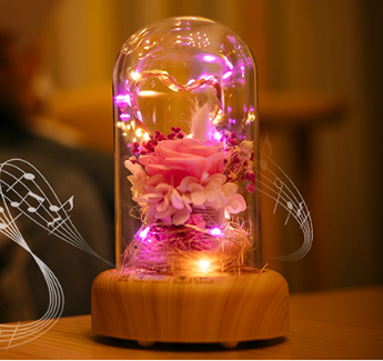 Bluetooth Speaker Night Light with Preserved Flowers