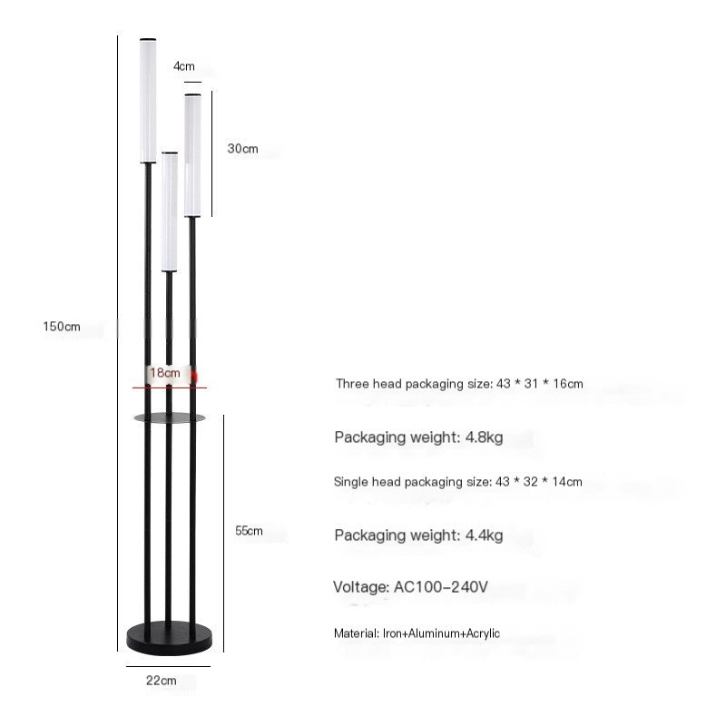 Modern LED Acrylic Floor Lamp