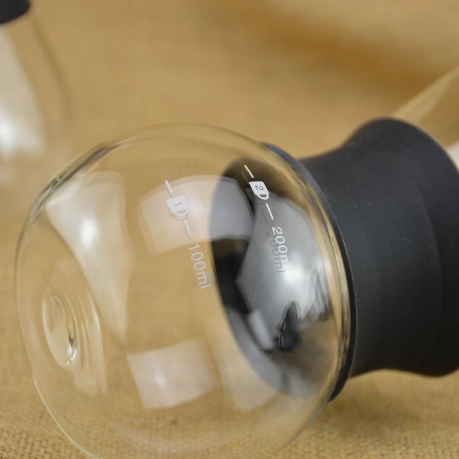 Stainless Steel Coffee Dripper with Glass Carafe