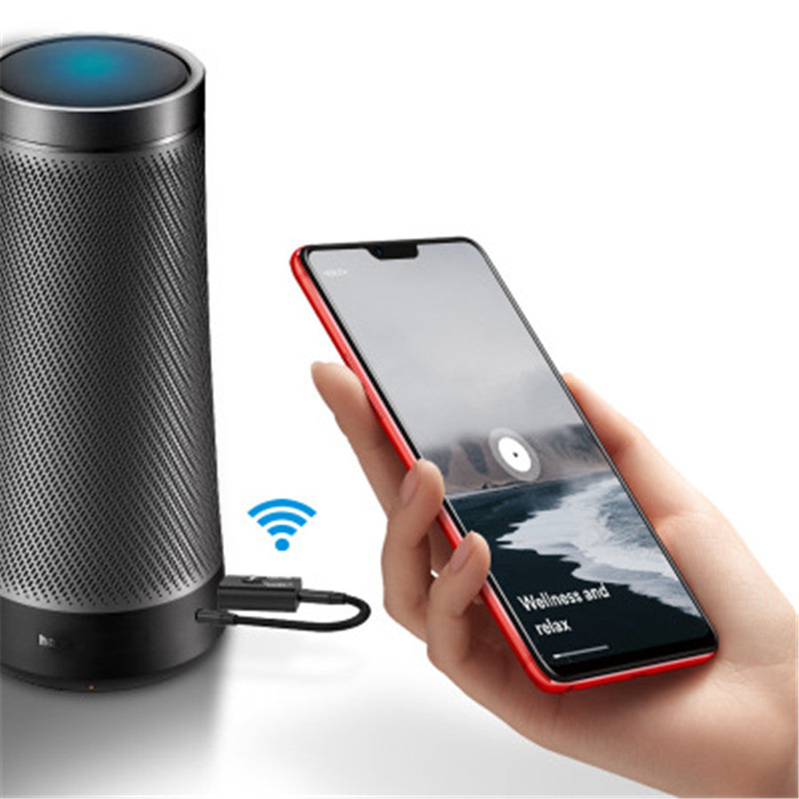 2-in-1 Music Transmitter and Receiver for TV Speakers