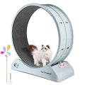 Cat Exercise Wheel Treadmill