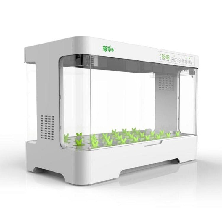 Automatic Soilless Hydroponic Planter Box