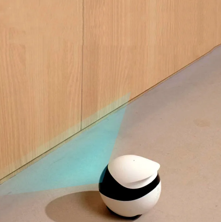 Mobile Robot Monitoring Camera