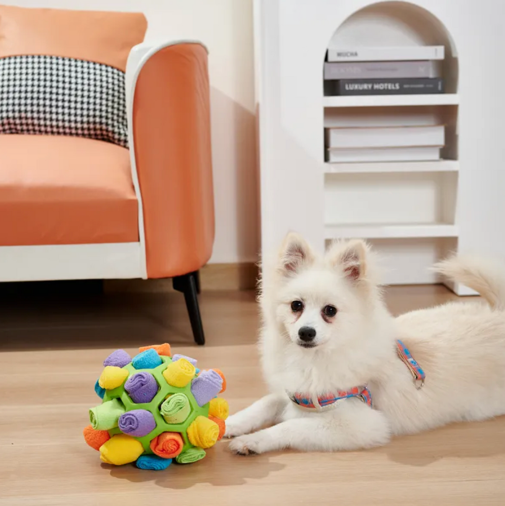 Dog Sniffing Puzzle Ball