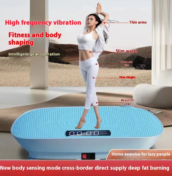 Whole-Body Vibration Plate