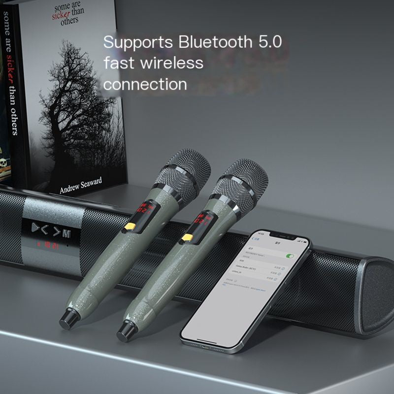 Wireless Karaoke Speaker & Microphone Set