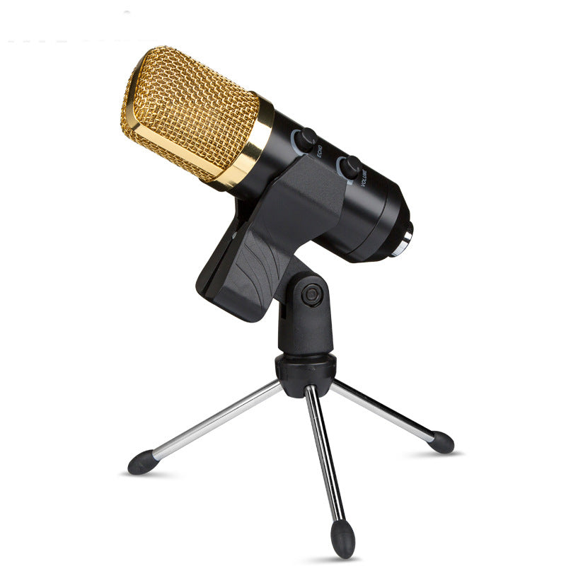 Condenser Microphone with Reverb and Stand