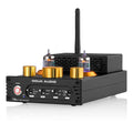 Vacuum Tube Stereo Amplifier with Bluetooth and Phono Input