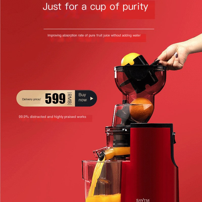 200W Juicer with Pulp Separation