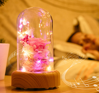 Bluetooth Speaker Night Light with Preserved Flowers
