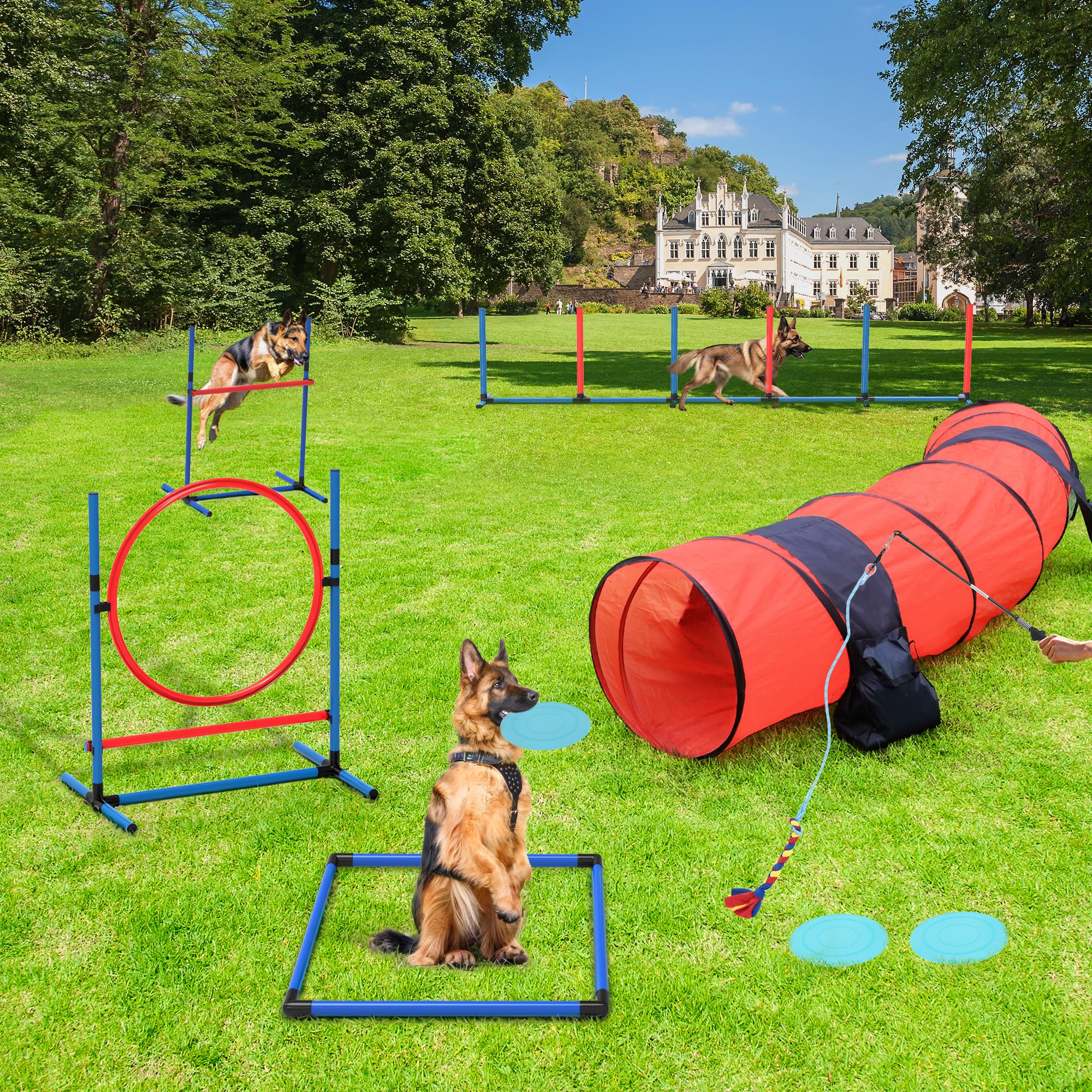 YITAHOME Dog Agility Training Equipments: Includes Flirt Pole Toy 3 Flying Discs 1 Agility Tunnel 2 Jumps 6 Weave Poles Pause Box Dog Agility Course Backyard Set Indoors Outdoors