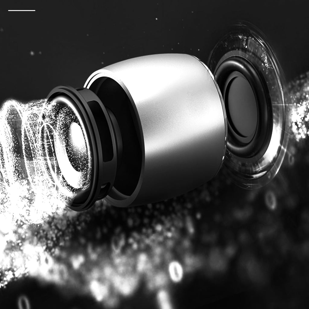 Big Sound Mini Speaker with FM Radio and MP3 Player