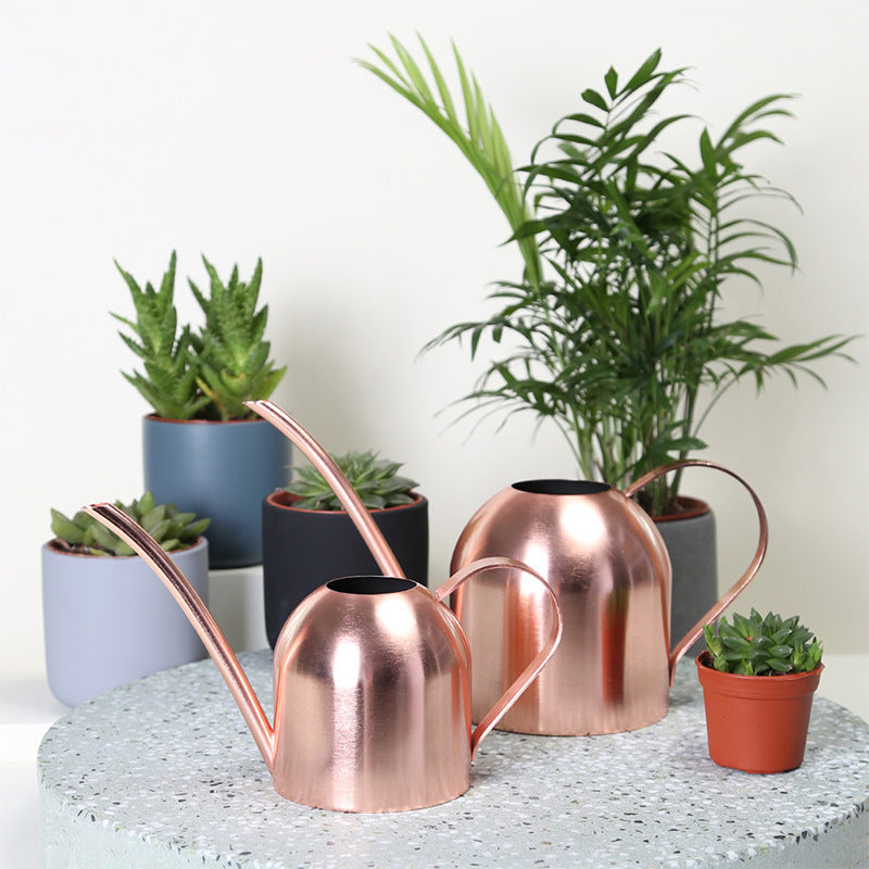 Stainless Steel Watering Can with Long Spout (Home Use)