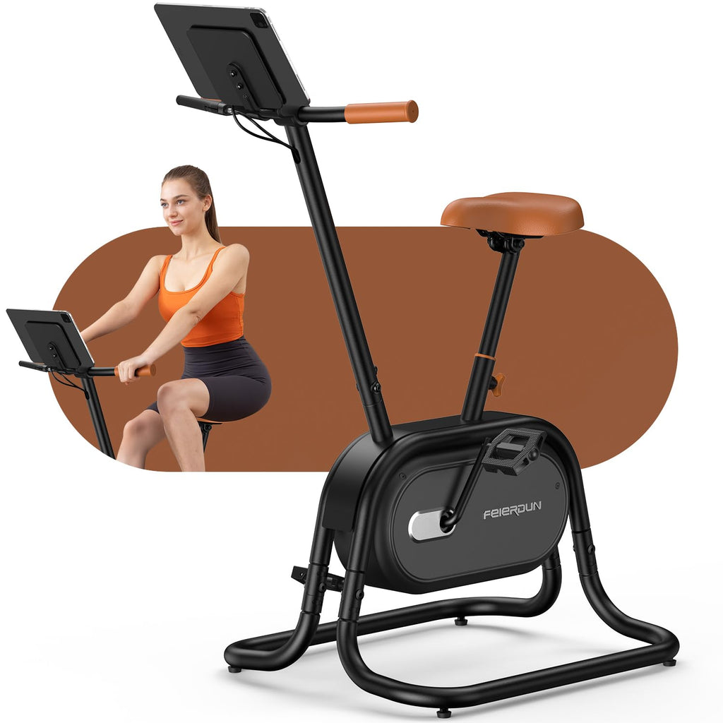 FEIERDUN Smart Upright Exercise Bike