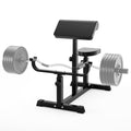 Adjustable Preacher Curl Bench (450 lb Capacity)