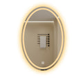 Smart LED Oval Bathroom Mirror with Anti-Fog Lighting