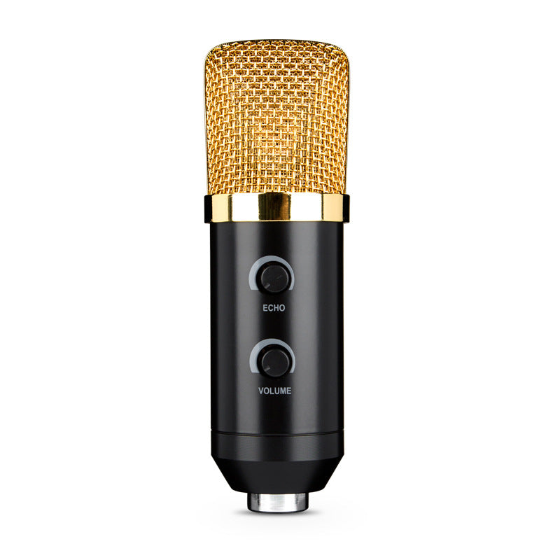 Condenser Microphone with Reverb and Stand