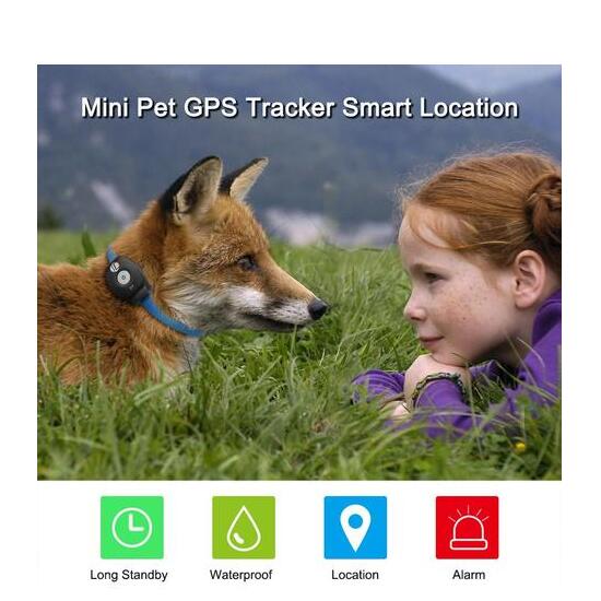 Pet GPS Tracker Collar