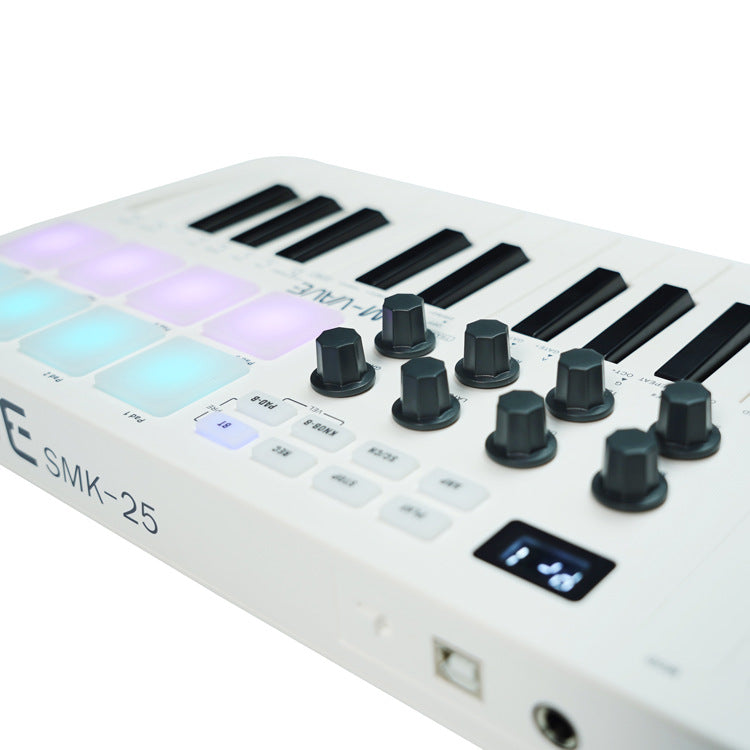 Portable MIDI Keyboard Controller