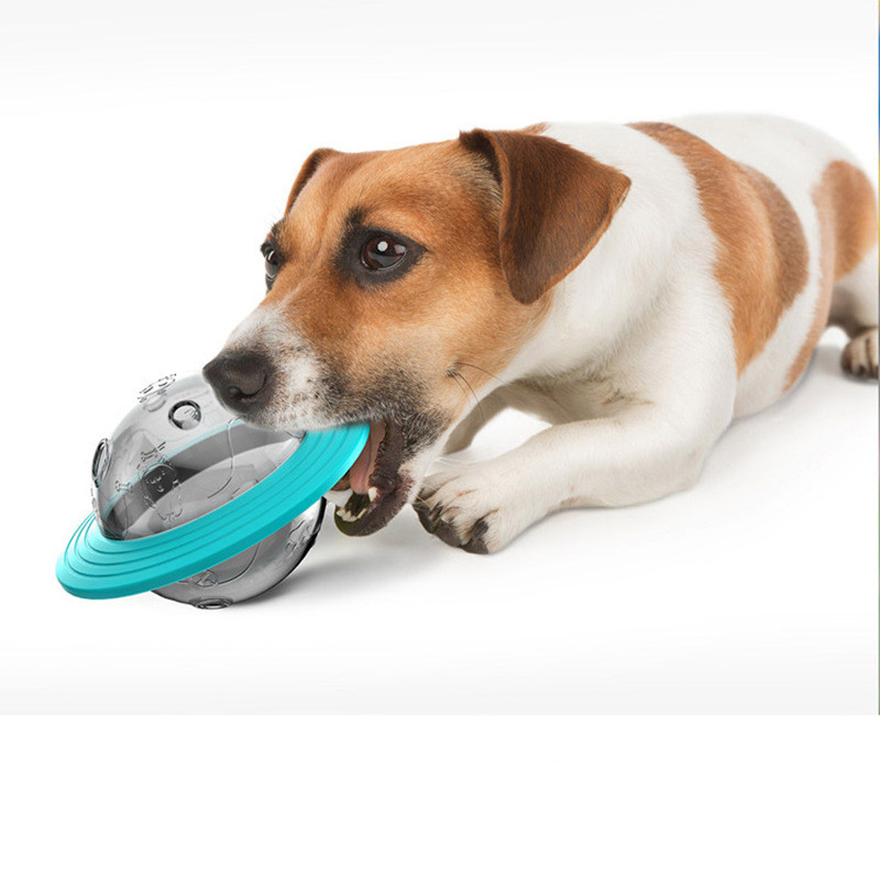 Dog Treat Dispensing Ball IQ Toy