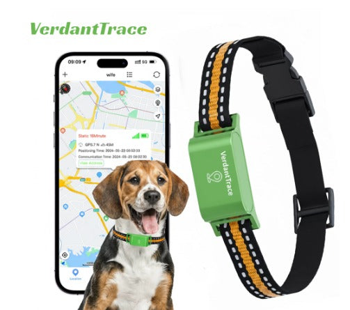 Pet GPS Tracker Collar