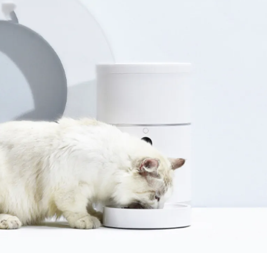 Smart Pet Feeder with Camera