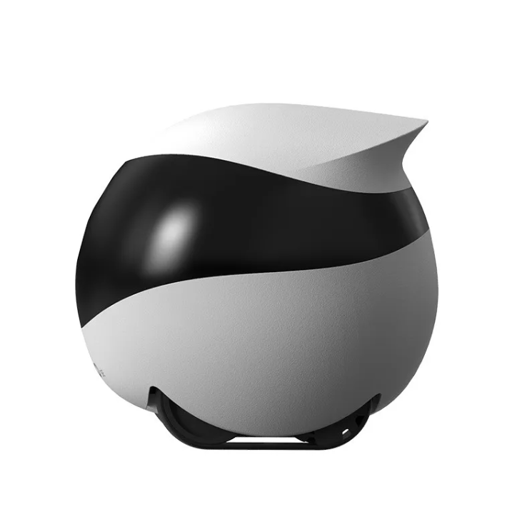 Mobile Robot Monitoring Camera