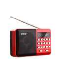 Portable FM Radio for Seniors with Rechargeable Speaker