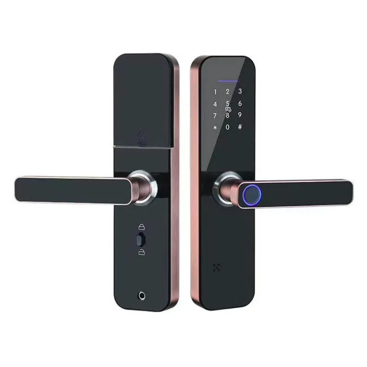 Fingerprint Electronic Combination Door Lock