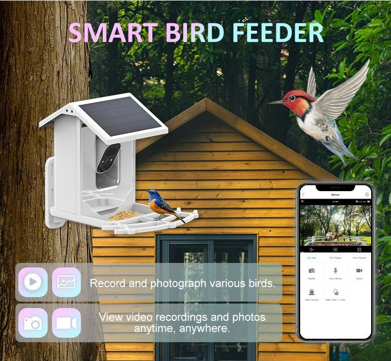 Solar Smart Feeder Camera