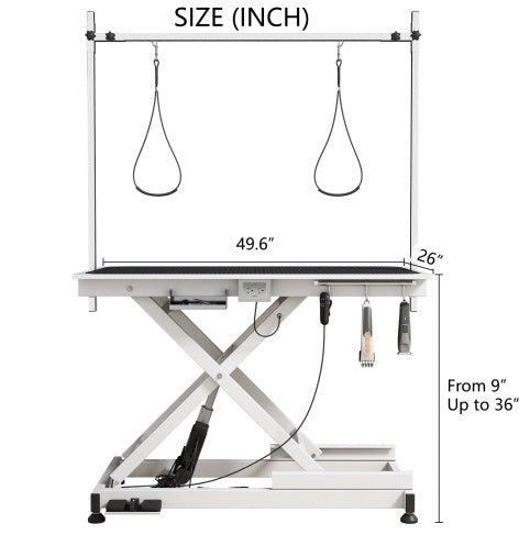 Electric Pet Grooming Table, Adjustable Height