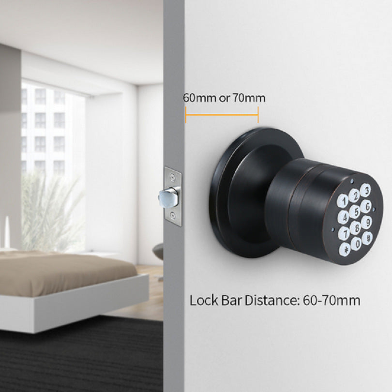 Smart Electronic Password Lock with Replaceable Parts