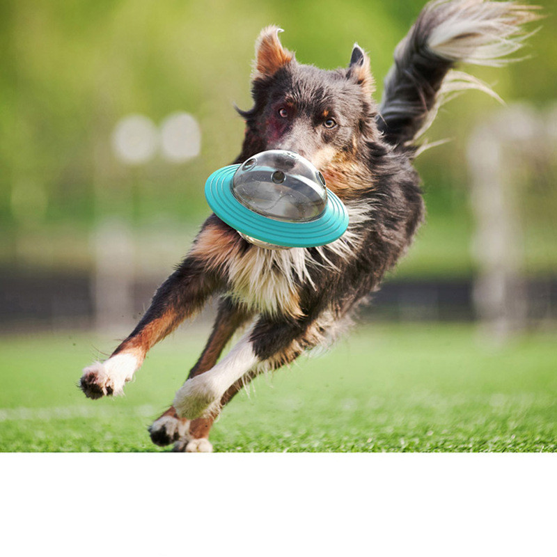 Dog Treat Dispensing Ball IQ Toy