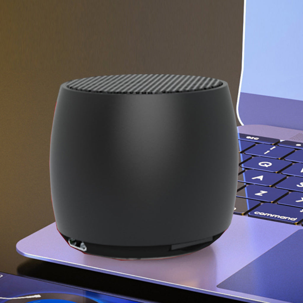 Big Sound Mini Speaker with FM Radio and MP3 Player