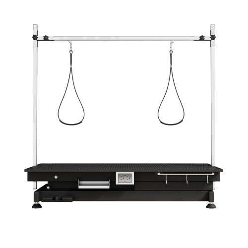 Electric Lift Pet Grooming Table