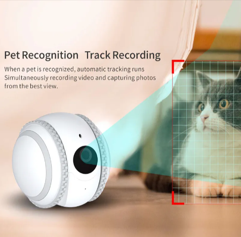 SmartPet Interactive Cat Companion Monitor