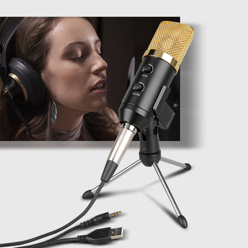Condenser Microphone with Reverb and Stand