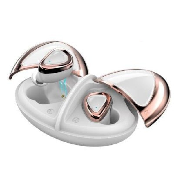 Ladybug 2-in-1 Bluetooth Earpods and Charger