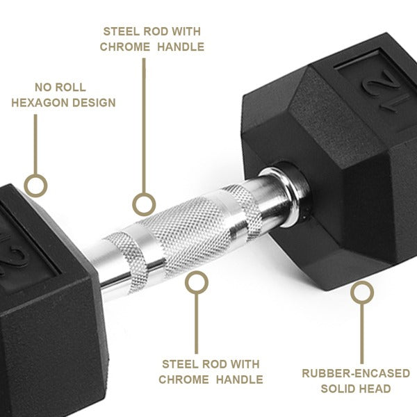 20lb Rubber-Coated Cast Iron Dumbbell Pair