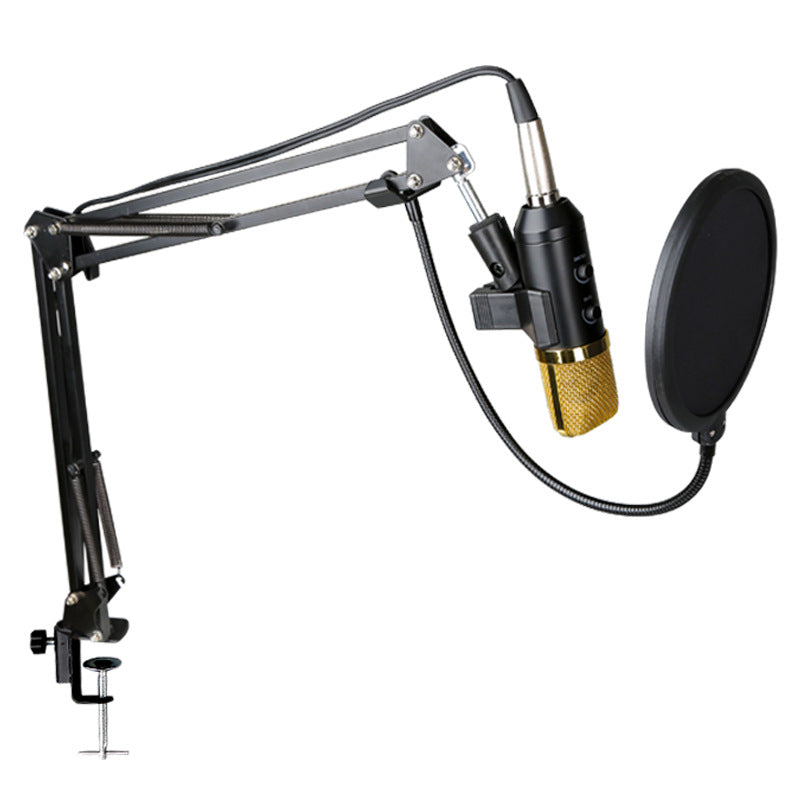 Condenser Microphone with Reverb and Stand