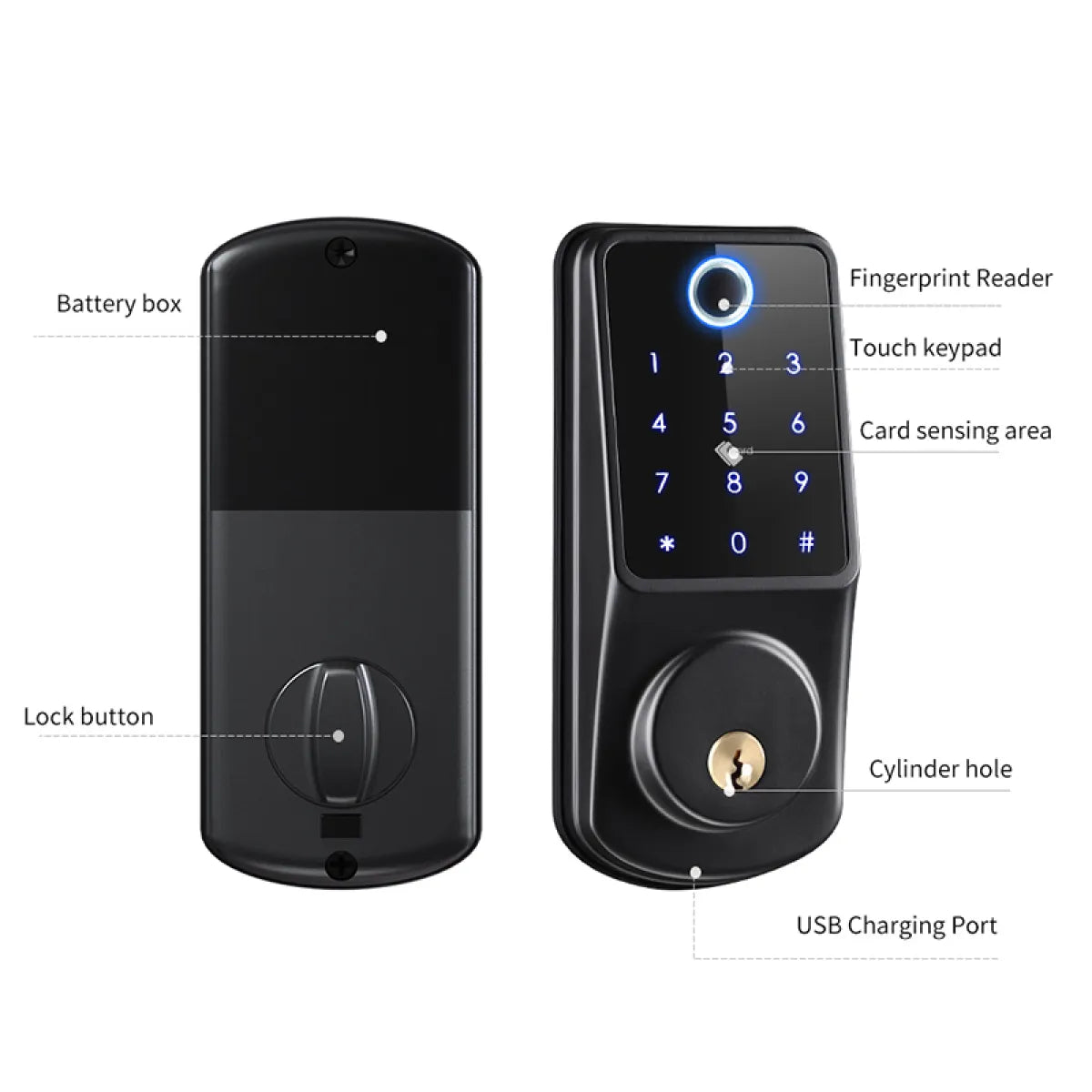 Fingerprint Password Smart Door Lock