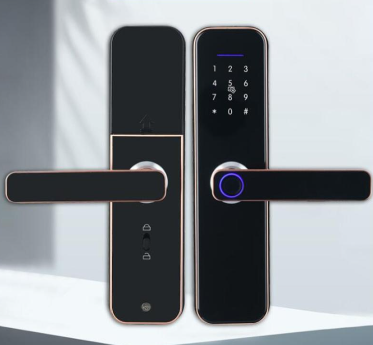 Fingerprint Electronic Combination Door Lock
