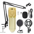Microphone Stand Set with Windshield for KTV Use
