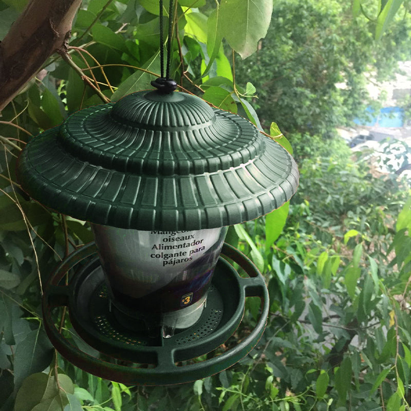 Transparent Hanging Bird Feeder for Indoor Outdoor Use