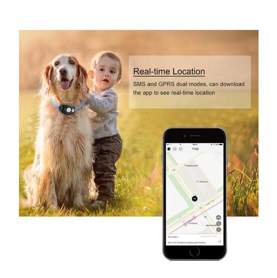Pet GPS Tracker Collar