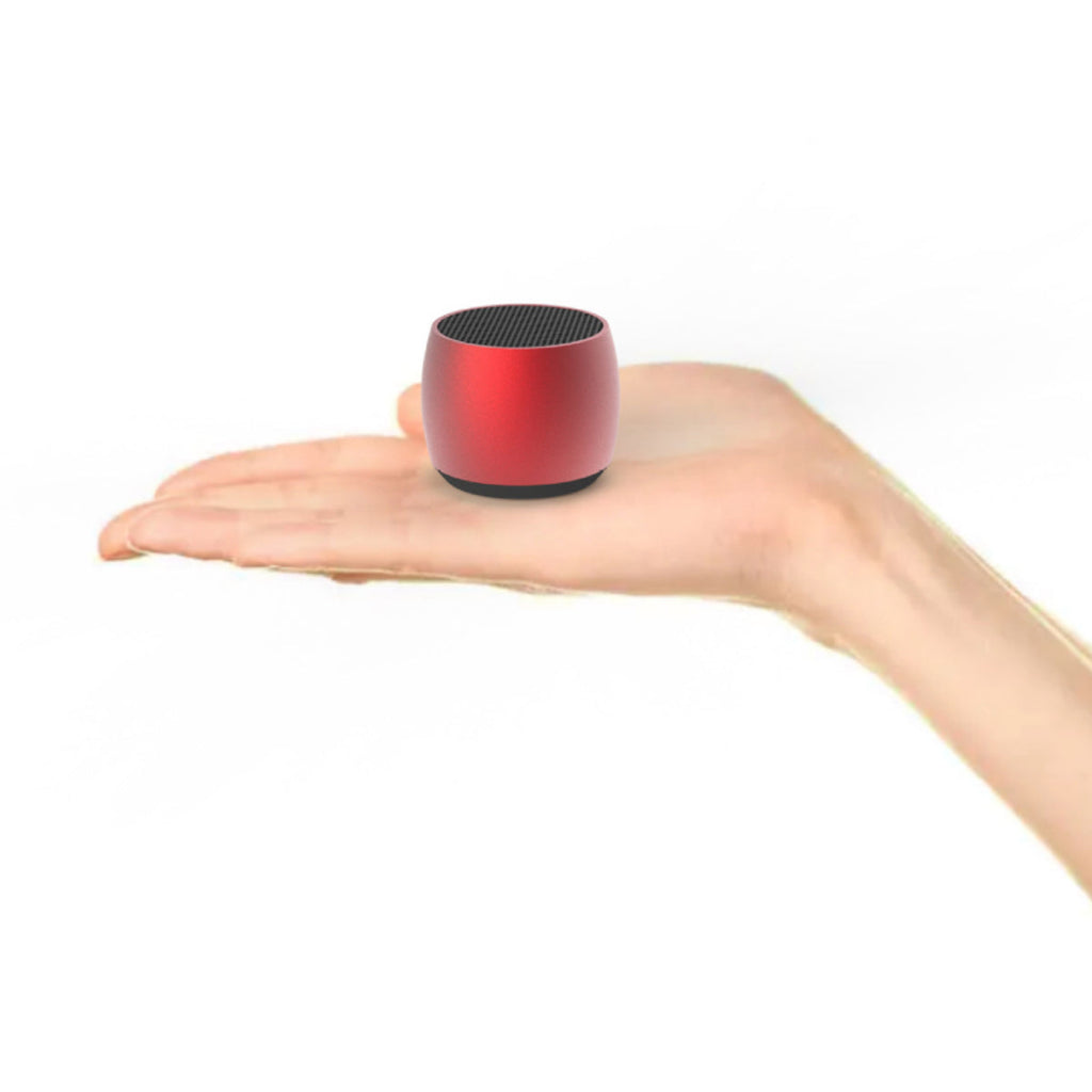 Big Sound Mini Speaker with FM Radio and MP3 Player