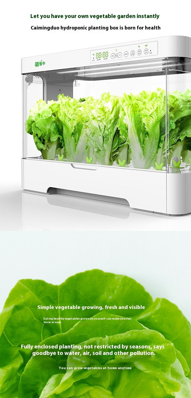 Automatic Soilless Hydroponic Planter Box