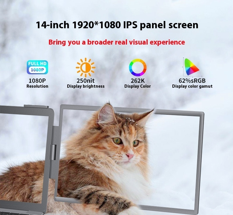 14-Inch Dual-Screen Portable Monitor